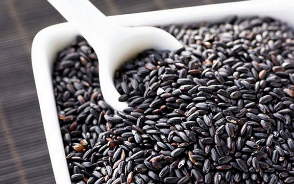 1a2d04309589491f01473b05f6d3616e