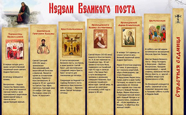 253ede65b903756c38cc0bcb5c9f12a5