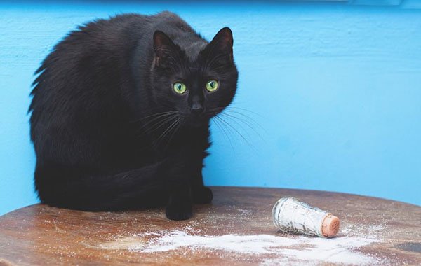 687638cb1bb95febea1debf7d887d385