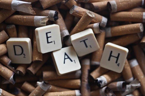 78f74ebfcb827c66bfc6ef66e70b0737