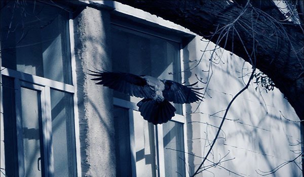 7aac3b0103b1c4b03f85dc5768e3aecf