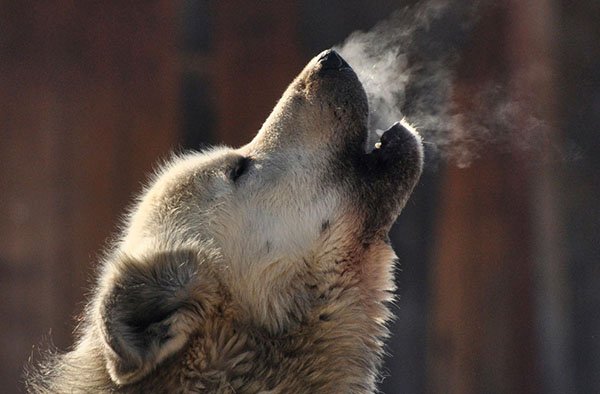 cf894e7ee061b392489a0668b577b66b