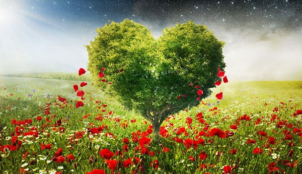 d653e158d8e3af8353b42a9644e90c16