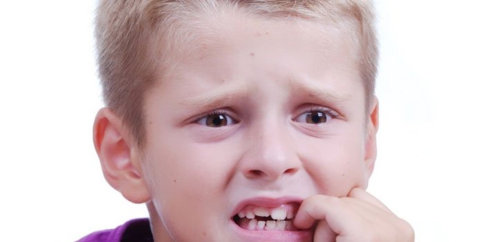 fd184926daf01ea64a4923226c15a720