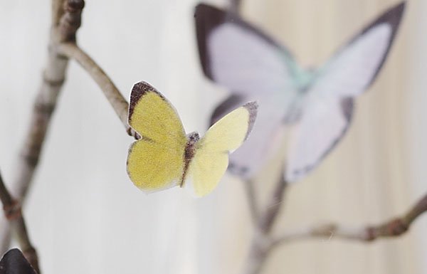 9f0fef09038afd943c43161a325e3ffb