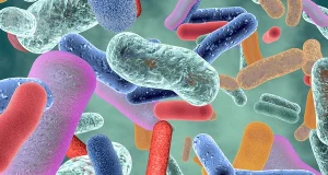 Бактерії кишечника можуть спровокувати серцевий напад