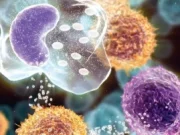 Друг чи ворог: виявлена несподівана функція сигнального імунного білка