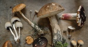 Дослідження: продукт знижує ризик раку на 45%