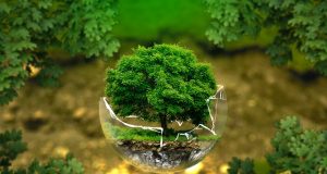 Вчені з’ясували, як навколишнє середовище може надавати постійний вплив на нервову систему