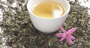 Дослідження: білий чай допомагає запобігти стафілококові та стрептококові інфекції