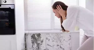 Як обробити стіни від цвілі