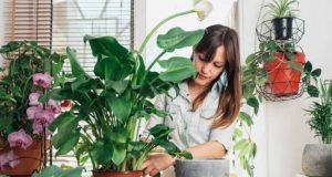 Побутові речі, які, згідно з народними прикметами, забороняється робити у високосний рік