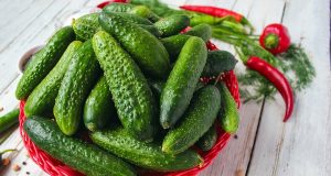 Скільки потрібно садити огірків. Три етапи городньої жадібності