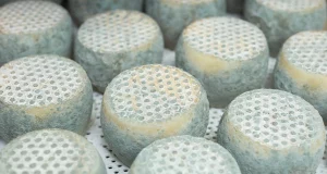 Як відрізнити небезпечну сирну цвіль від благородної