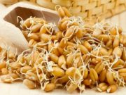 Користь паростків пшениці для здоров’я