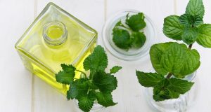 Переваги олії м’яти перцевої: від покращення травлення до підвищення фізичної працездатності