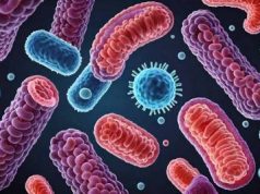 Бактерії дуже винахідливо виживають у кишечнику людини