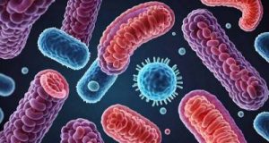 Бактерії дуже винахідливо виживають у кишечнику людини