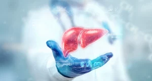 Три продукти, які шкодять вашій печінці: поради від фахівця з ЗСЖ