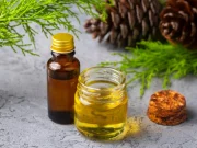 Як створити елексір молодості?