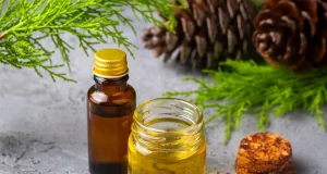 Як створити елексір молодості?