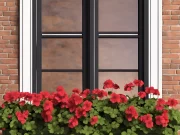 Три витривалі кімнатні рослини для легкого озеленення в приміщенні