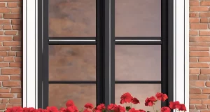 Три витривалі кімнатні рослини для легкого озеленення в приміщенні