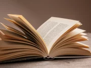 Наймудріша притча про те, як поводитися, якщо вас хочуть образити