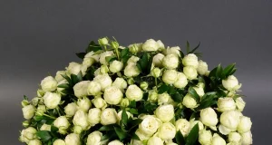 Язык роз: Раскрытие цветочных эмоций