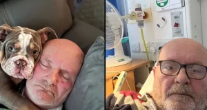 “Це врятувало йому життя”: Цуценя відгриз сплячому господареві палець