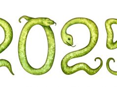 Як правильно зустріти рік Зеленої Дерев’яної Змії, щоб залучити удачу