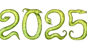 Як правильно зустріти рік Зеленої Дерев’яної Змії, щоб залучити удачу