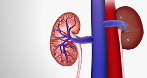 Які напої допомагають у боротьбі з камінням у нирках