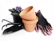 Як правильно вибрати горщик для пересадки кімнатних рослин