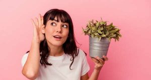 Розмовляйте з квітами: як спілкування допомагає рослинам рости